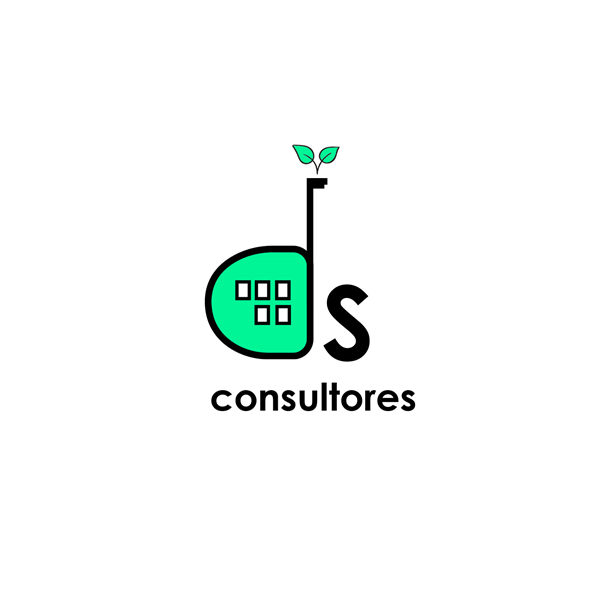 DS CONSULTORES