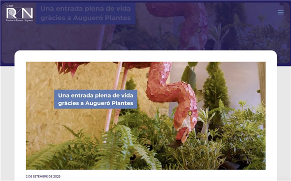 Un pequeño grano de arena para colaborar con la Fundación Ramon Noguera